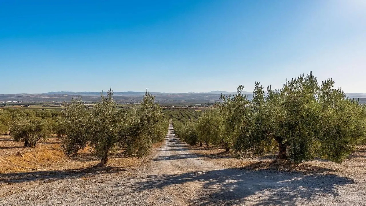 Cortijo Barranco Hondo Illora By Ruralidays Villa 0*,  Spain